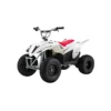 Razor Dirt Quad 500 – Rugged Off-Road Electric ATV (7)